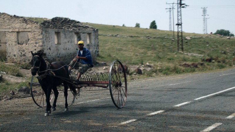 Erzurum, Turquía, Turkey, donkey