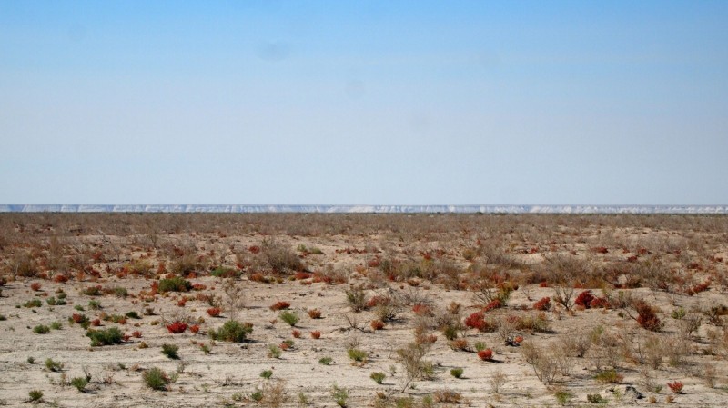 Moynaq, Nukus, Aral, sea, mar, central asia, uzbekistan, ecology, disaster, desastre, ecológico, sostenibilidad, sustainability