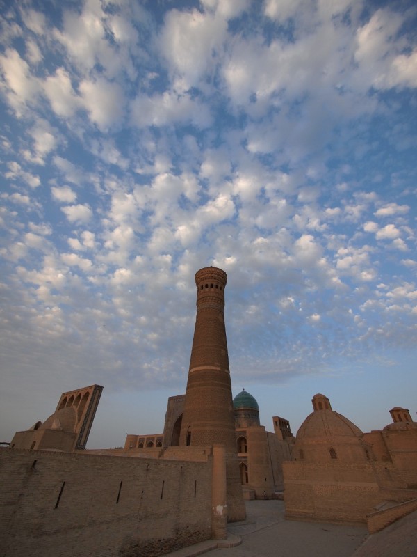 PA063686 Uzbequistan, Bukhara, Central Asia, silk road, ruta seda, Kalyan minaret, minarete de Kalyan