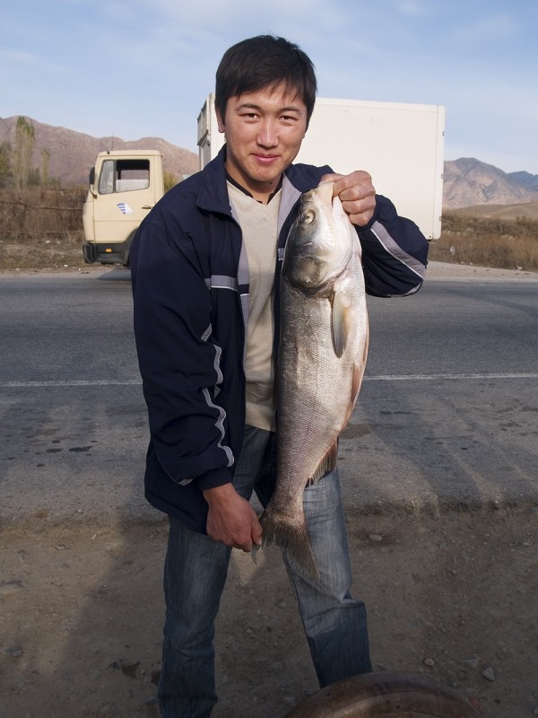 _B019883 Kyrgyzstan, Kirgistán, silk road, ruta seda