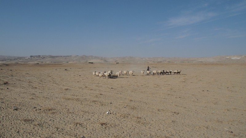 China, taklamakan, desierto, desert, Khotan, Turphan, Yarklan PB145471
