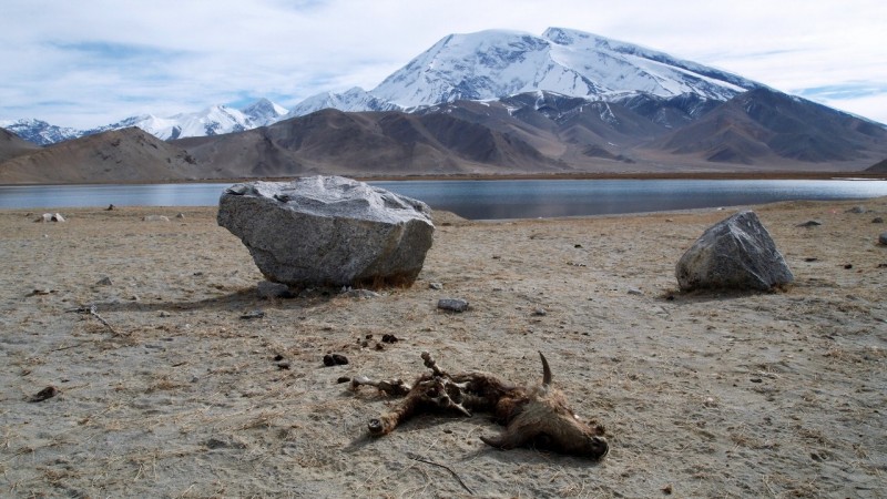 PB115327 China, Karakorum, karakul, silk road, ruta seda