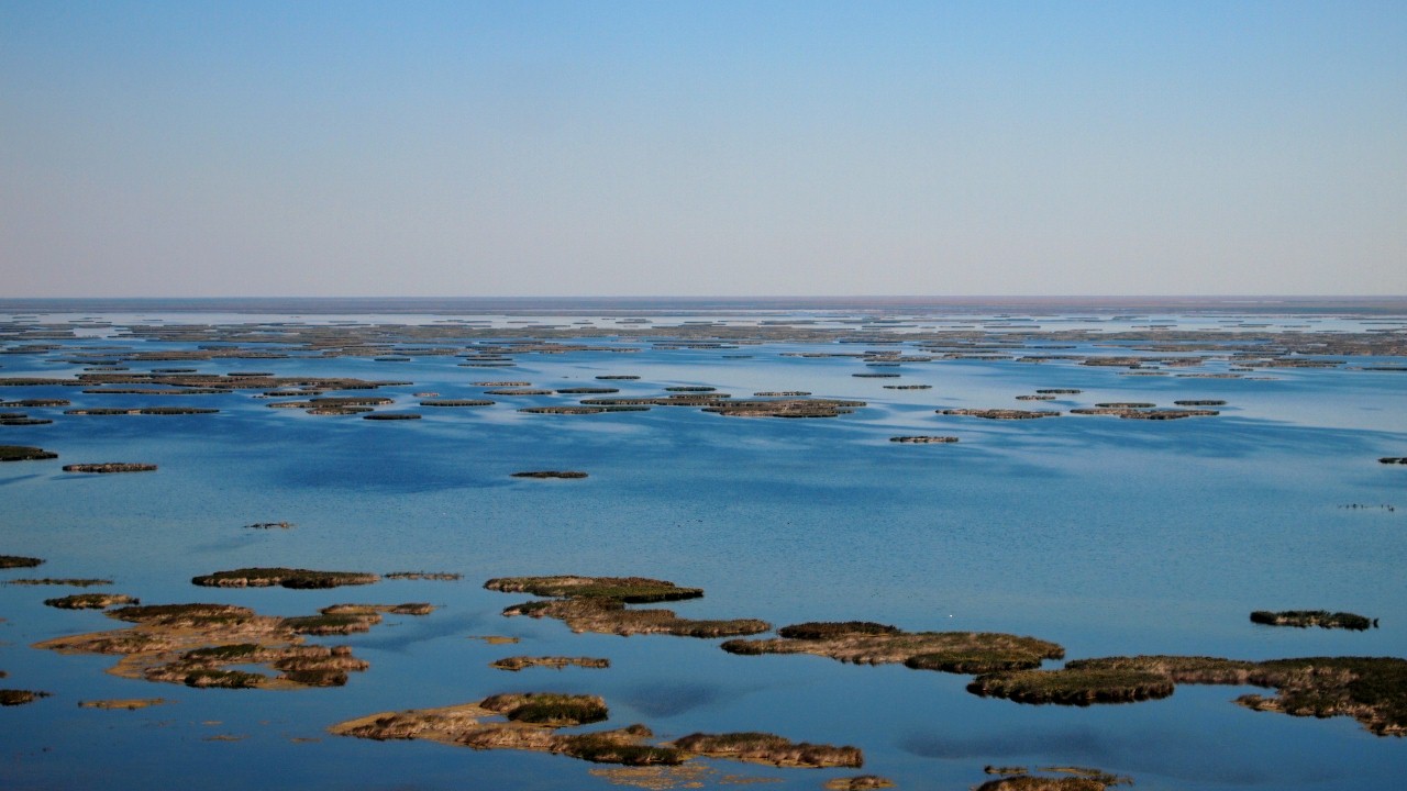 План спасения аральского моря